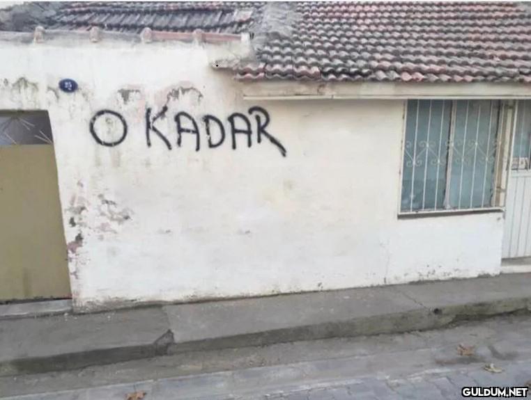 Cümleyi tamamlayacak olsan...
