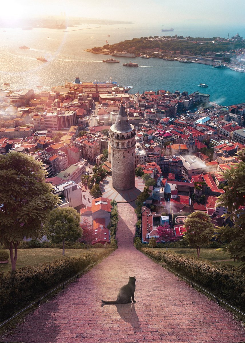 Yasin Yaman’ın “Love To...