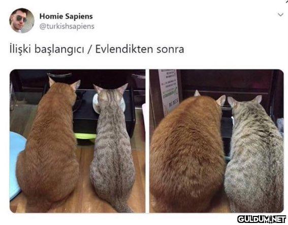 Ahahahahahhahaha...