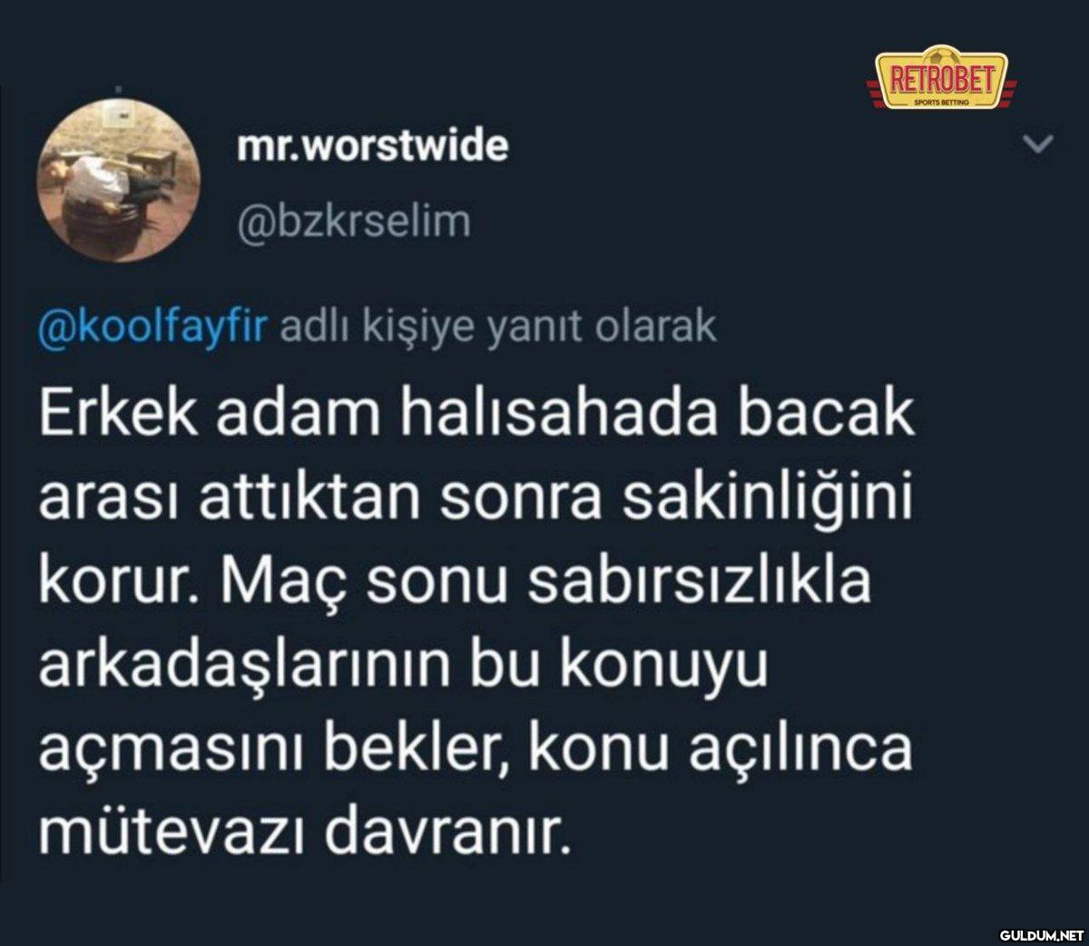 https://t.co/nlFJFMifzv  ...