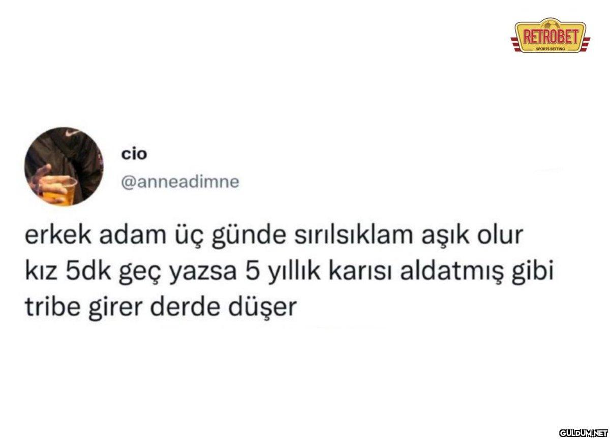 cio @anneadimne RETROBET...
