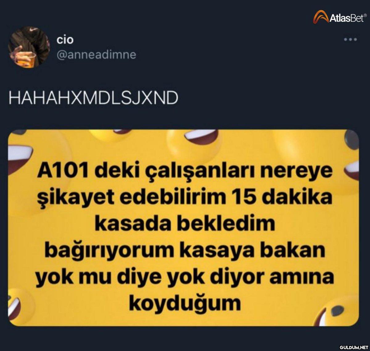 cio @anneadimne...