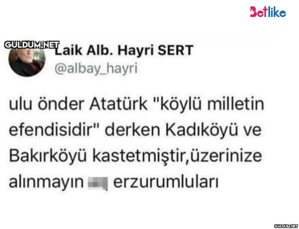 GULDUM!NET Laik Alb. Hayri...