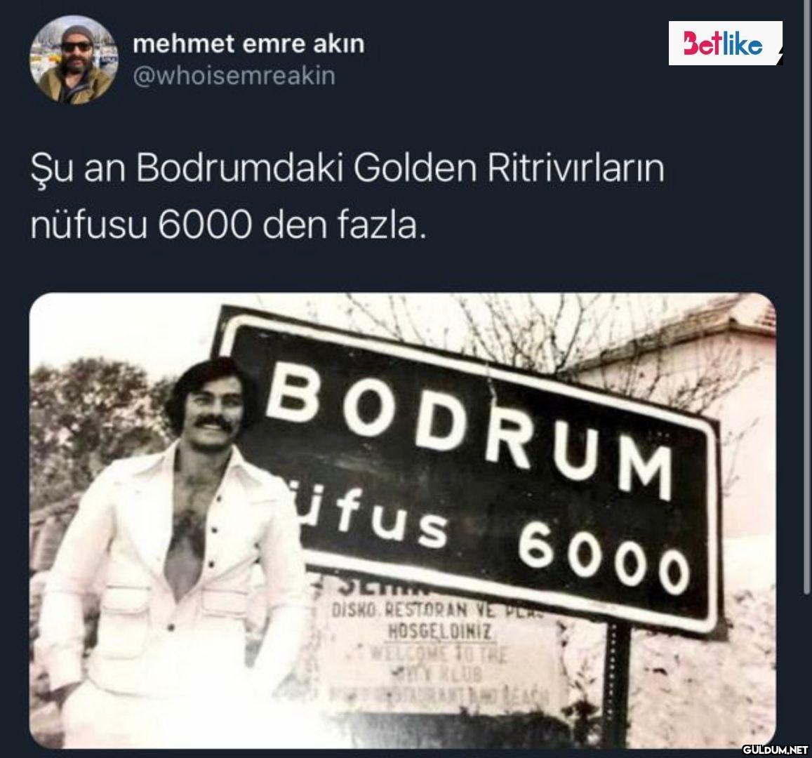mehmet emre akın...