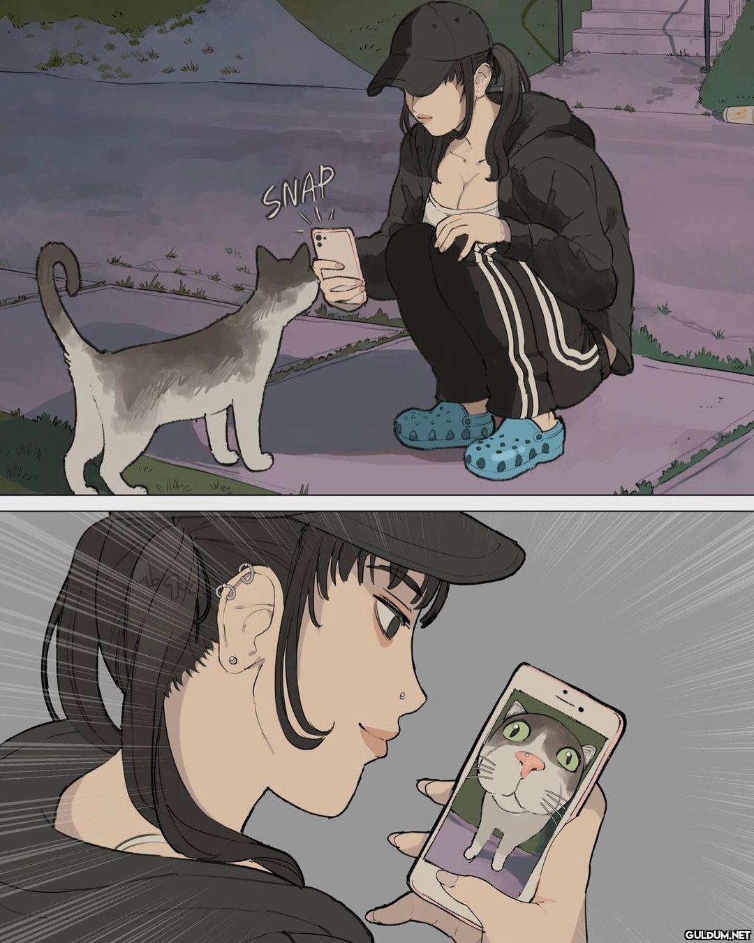 Sonuna kadar yapacağız 🐱  ...