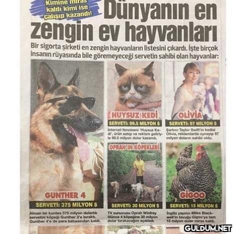 Gunther bey isterse...