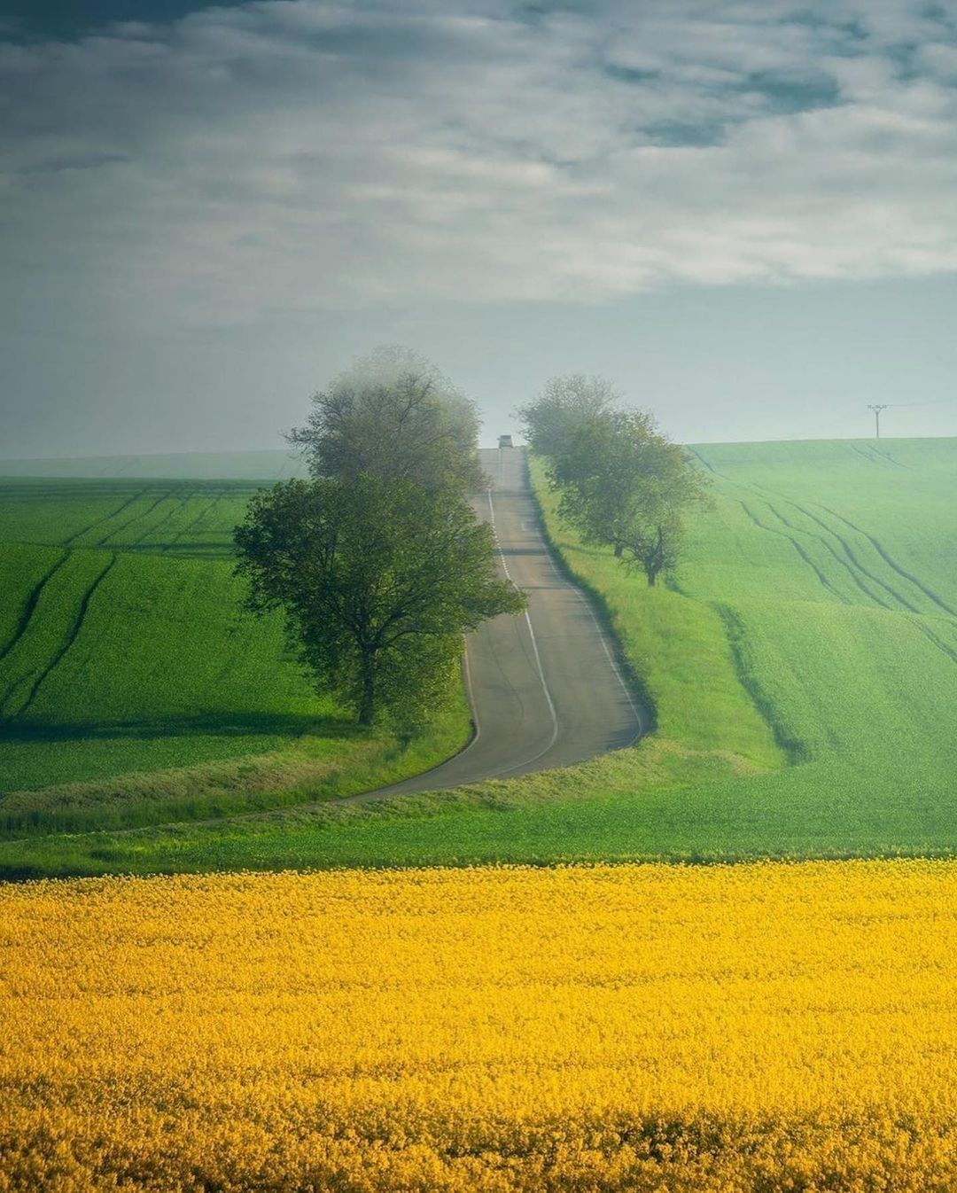 Dreamy fields 💚💛 Follow...