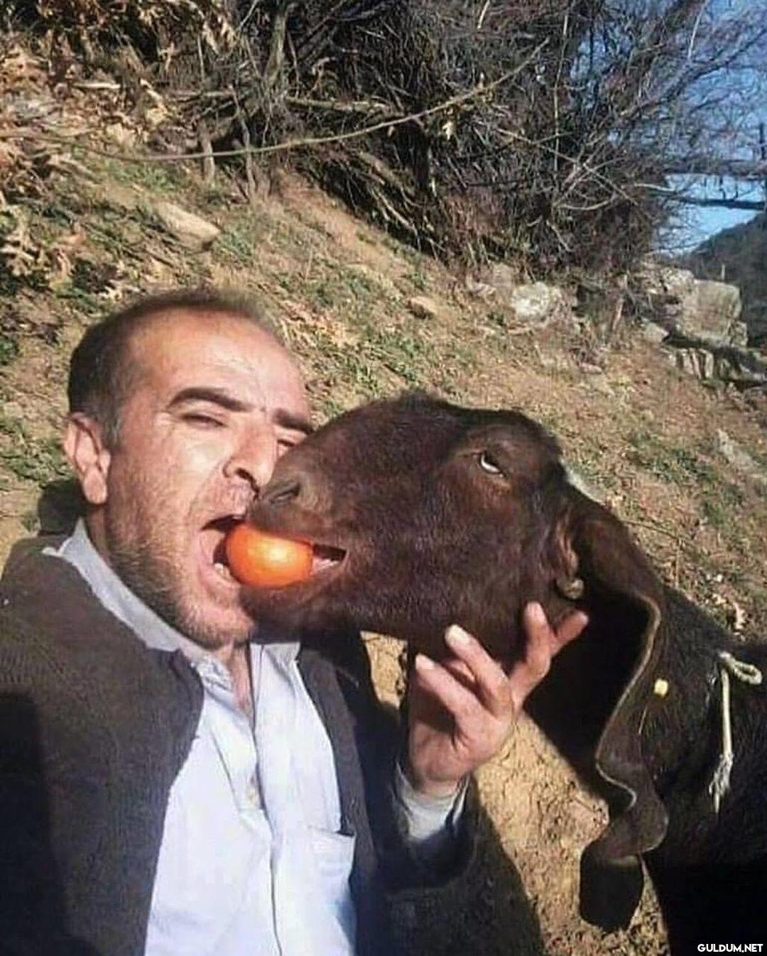 anlamsız fotoğraflar 883  ...
