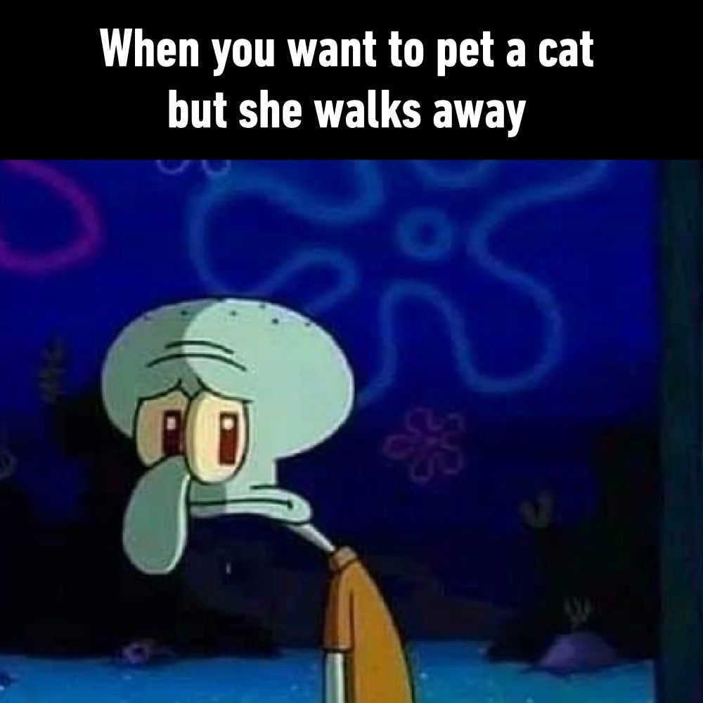 💔  - #cat #hearbroken...
