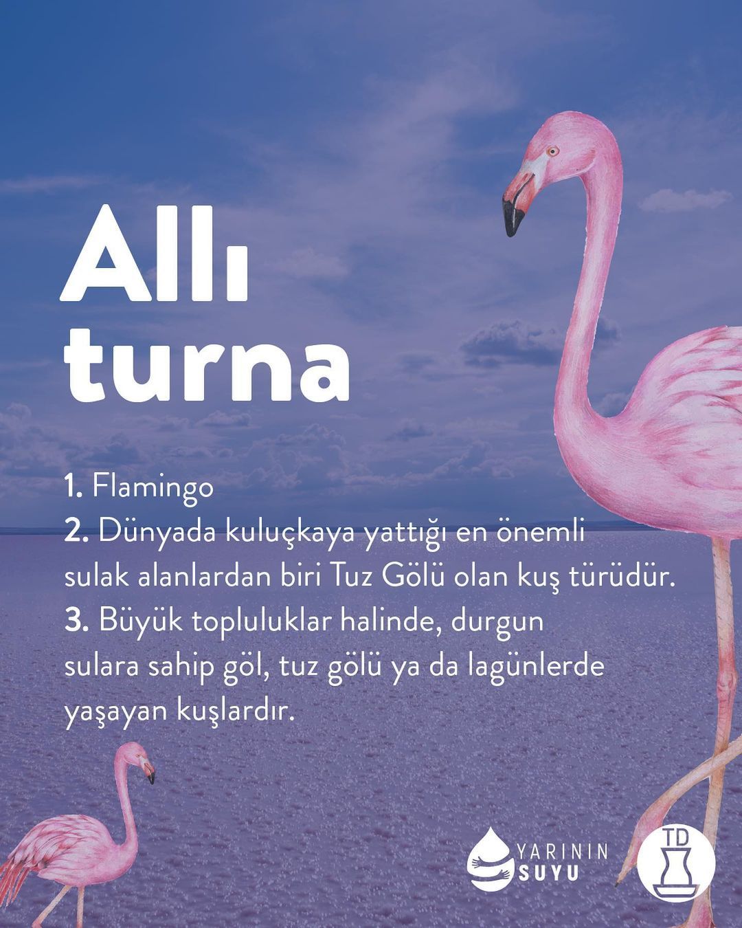 "Allı turna" olarak...