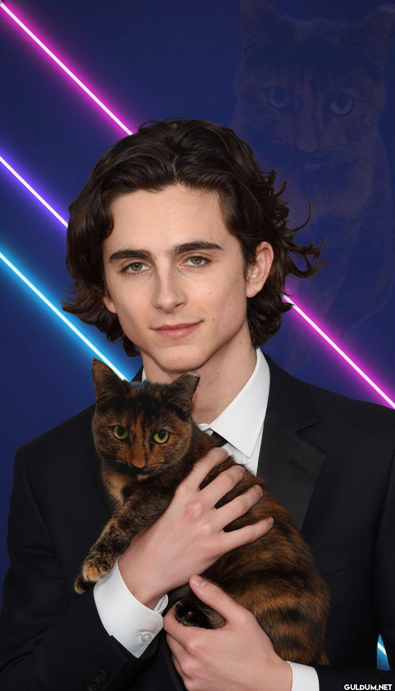 Laser Cat    00