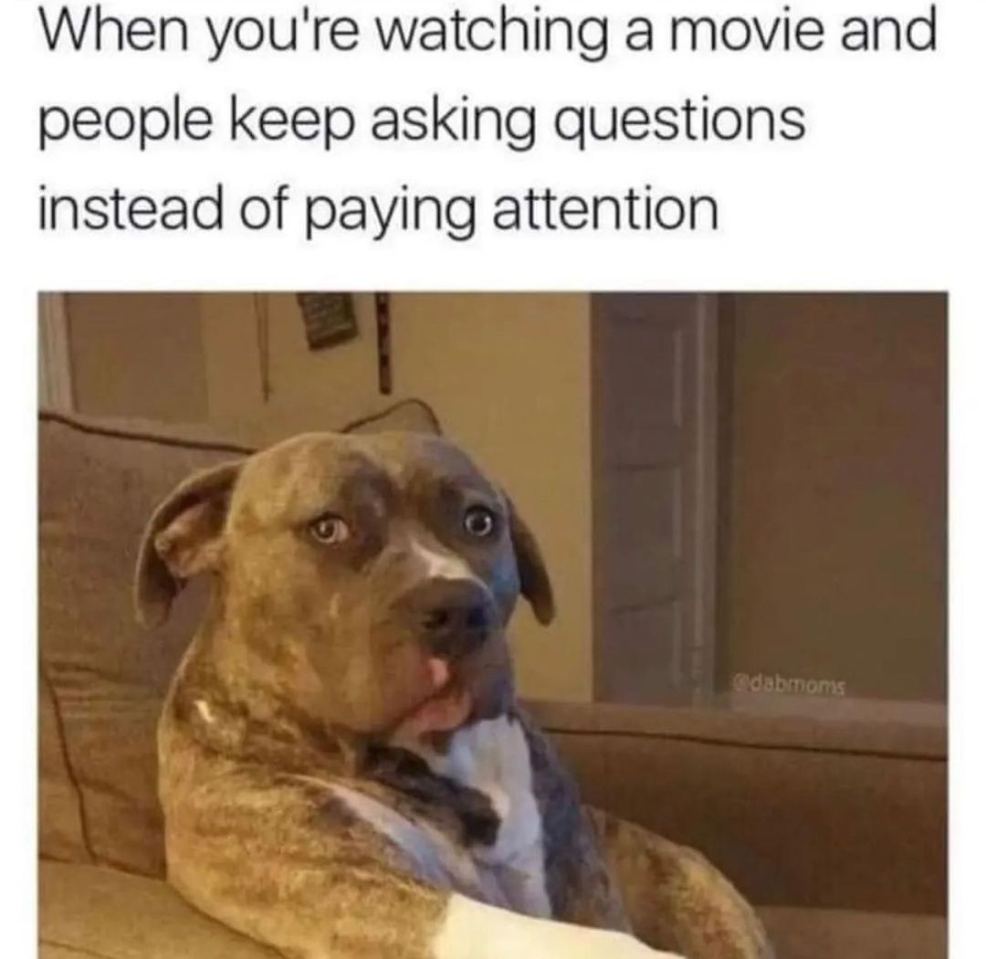 @please.hesitate 🐶   Kaynak