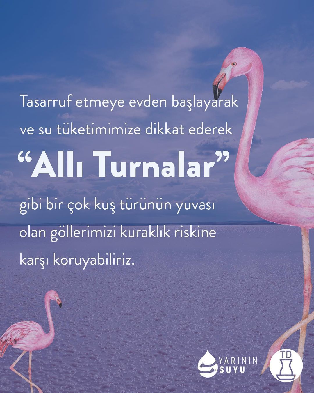 "Allı turna" olarak...