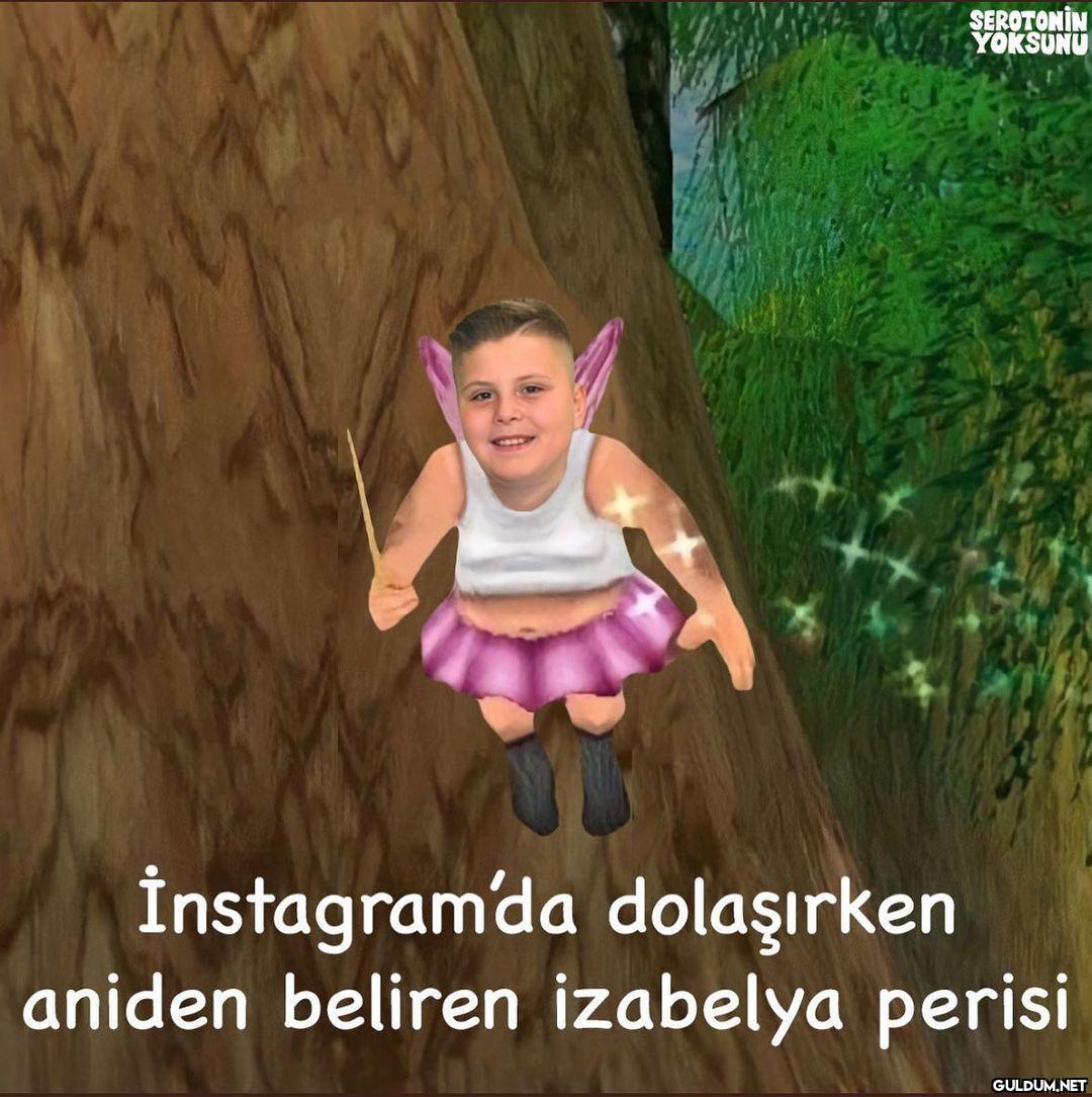 Instagram’ın bitki örtüsü ...