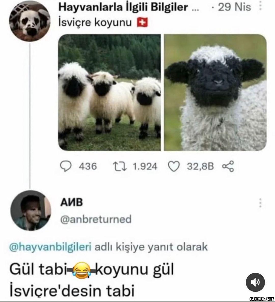 Sksksjskskdkdkd   ...