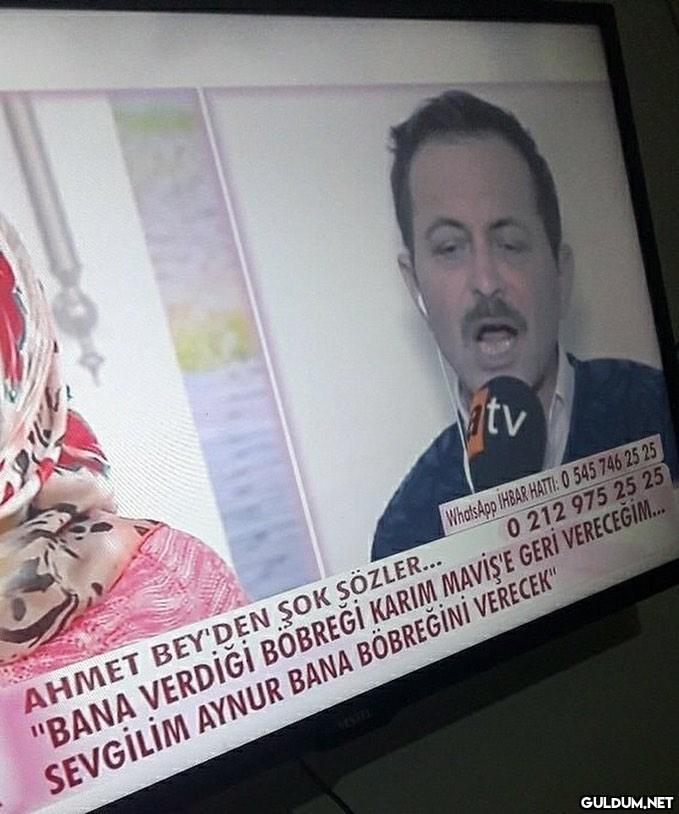 cicikuş? cicikuş is dead...
