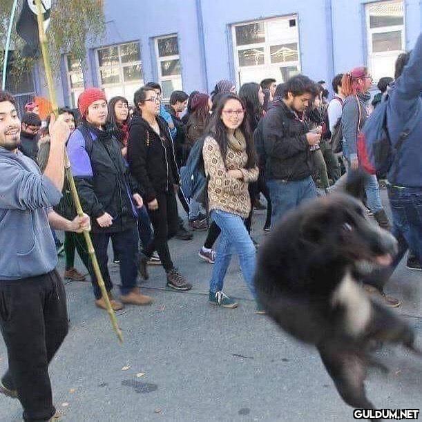 anlamsız fotoğraflar 902  ...