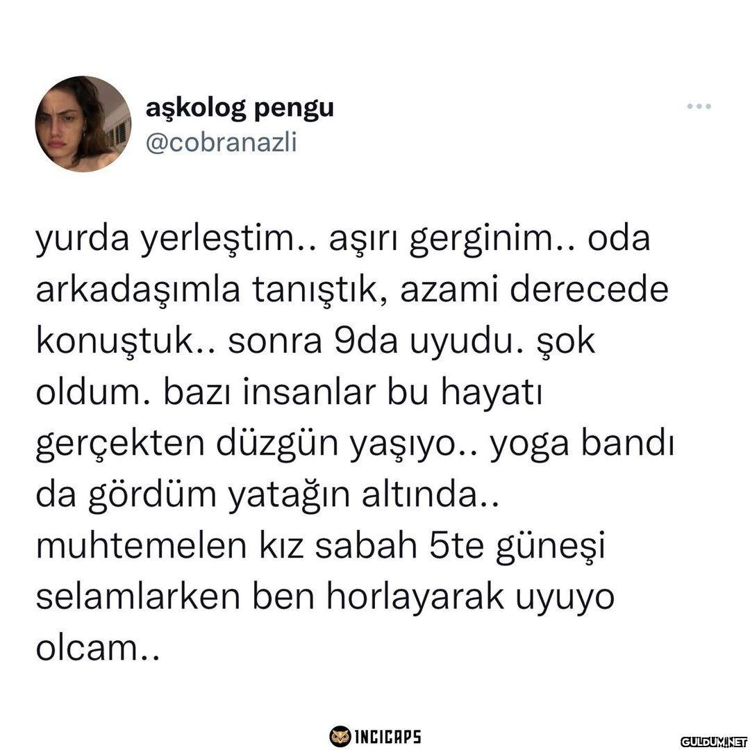 aşkolog pengu @cobranazli...