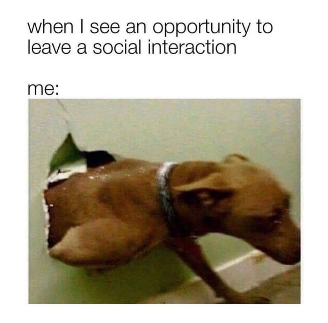 @please.hesitate 🐶   Kaynak