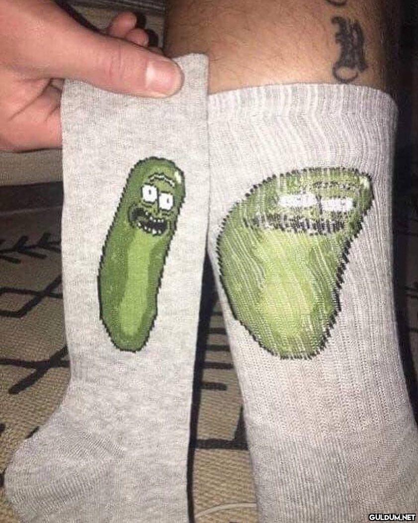 Pickle Rick! P I C K L E ...