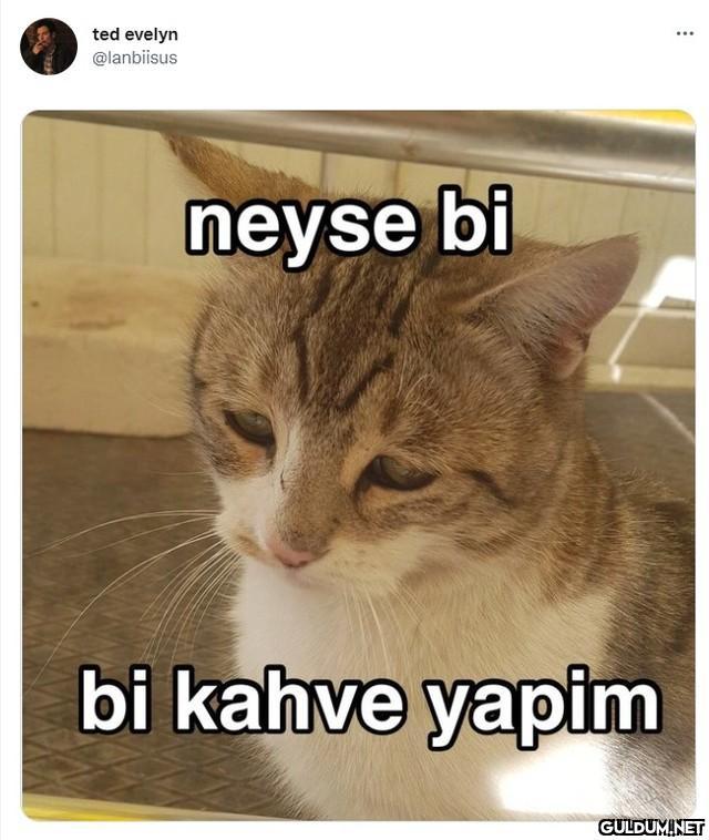 Günaydın 😊    650 ted...