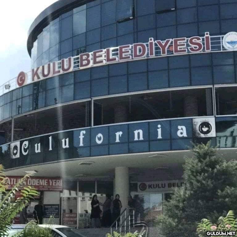 🎶 Sen yeter ki sev kulun...