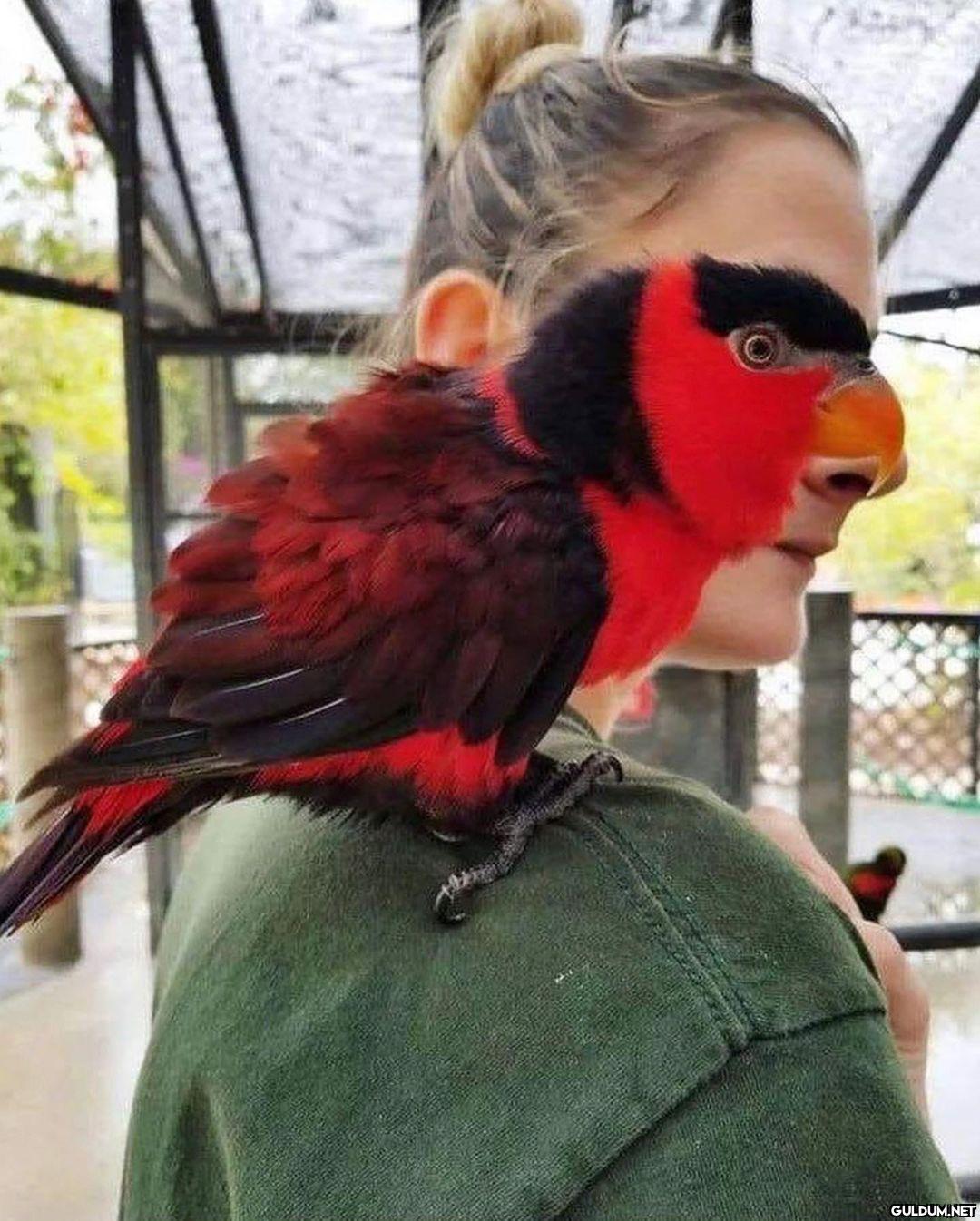 anlamsız fotoğraflar 4762 ...