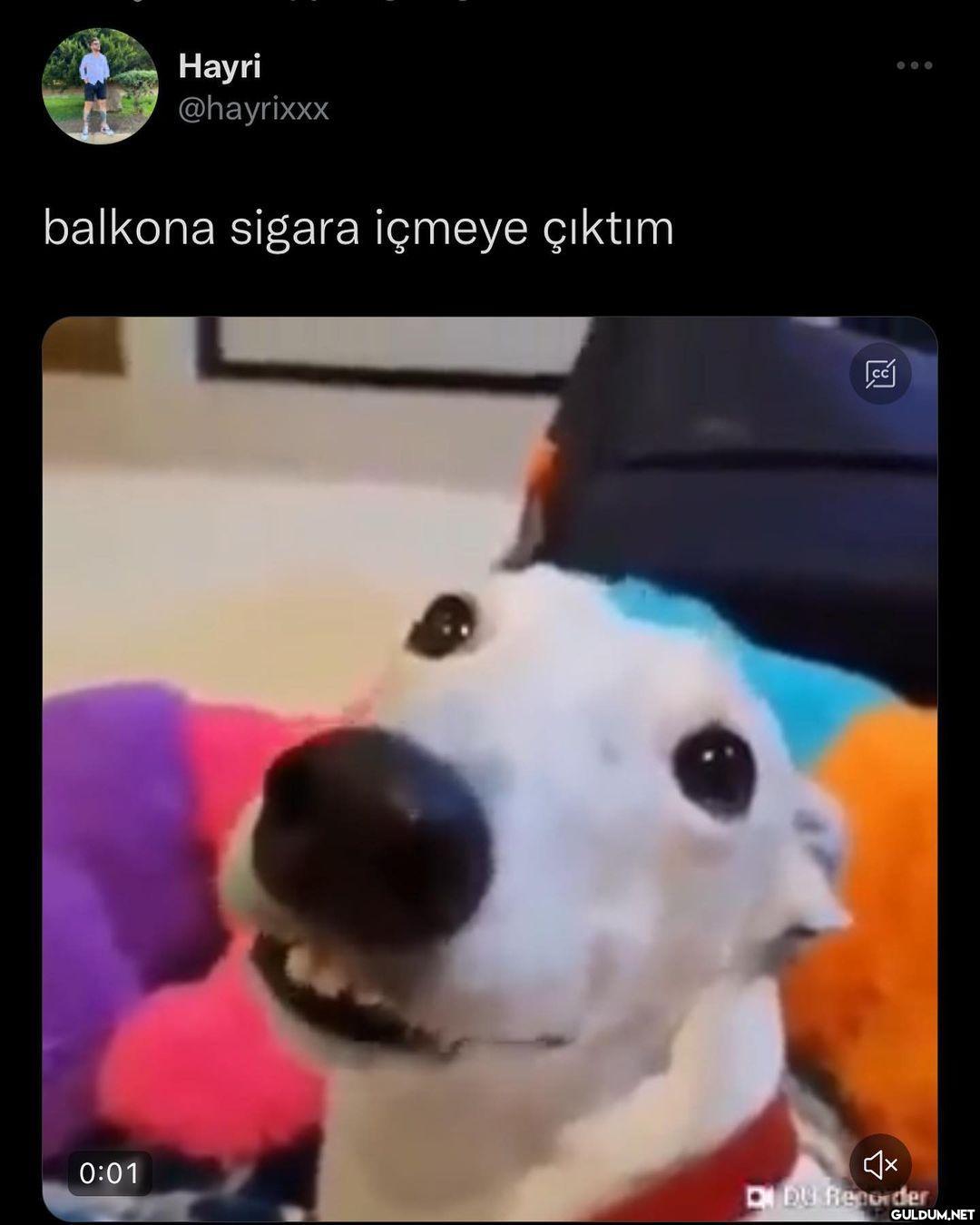 evet aynen böyle    CDU Re...
