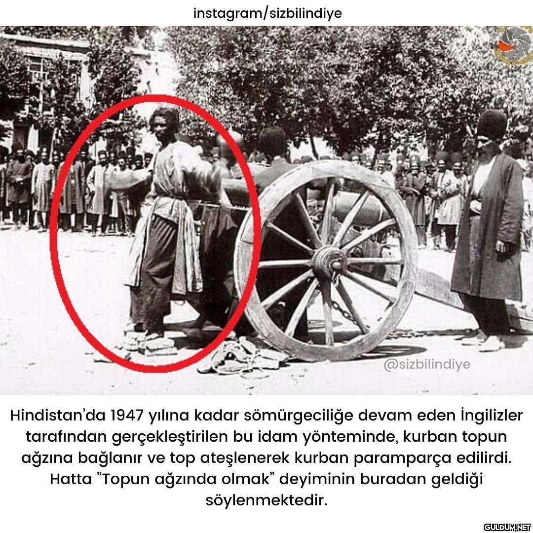 En vahşisi hangisi sizce ?...