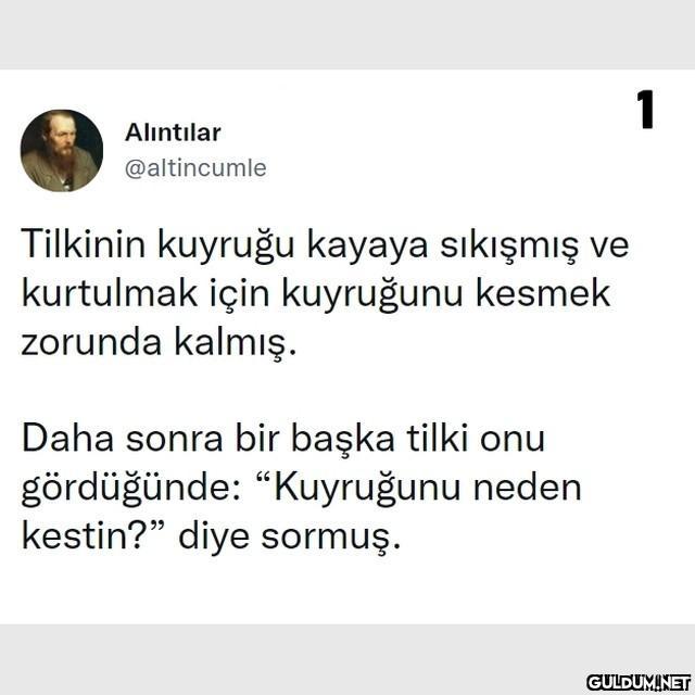 (Kaydırmalı)    Alıntılar...