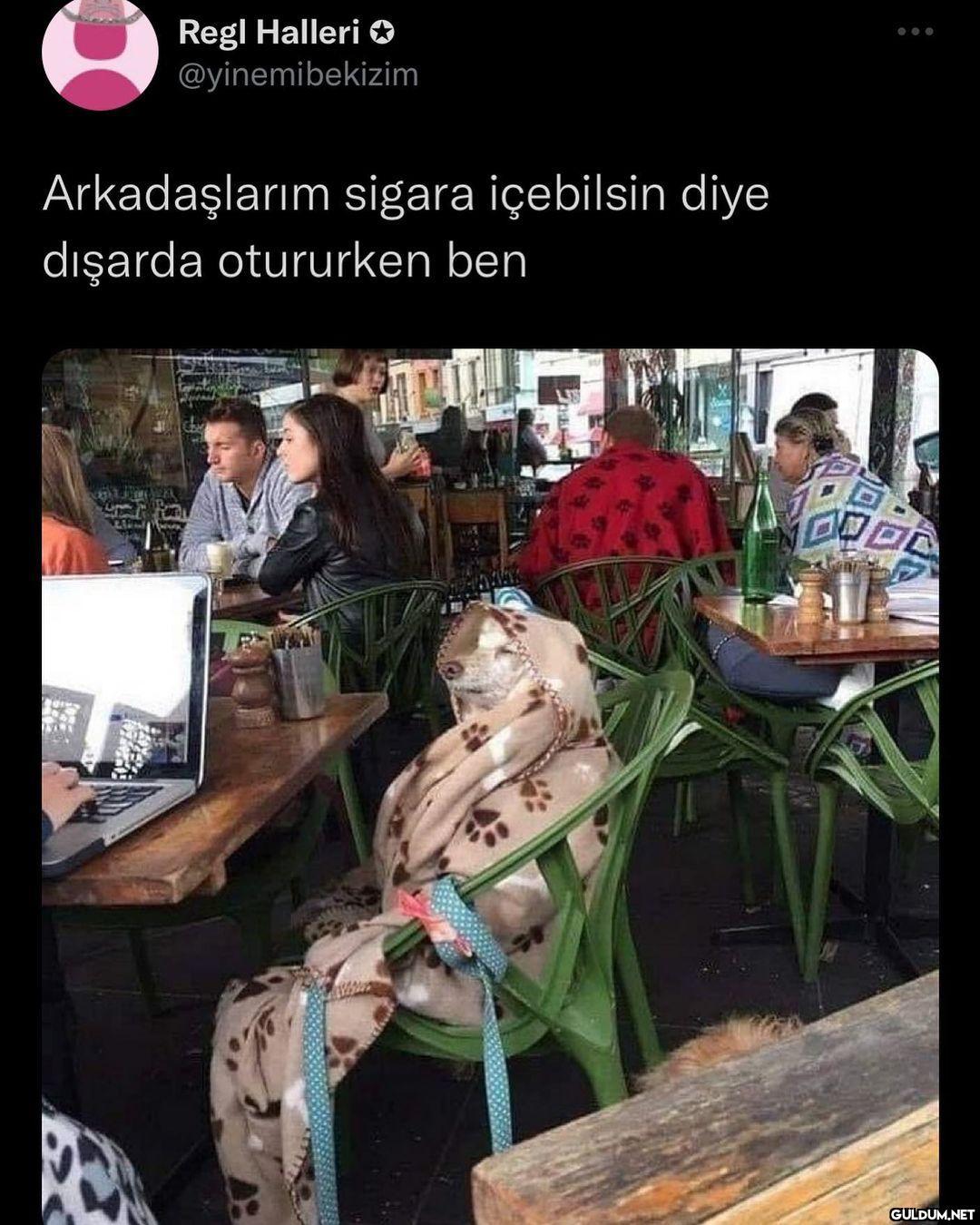 hosgeldin kis   ...