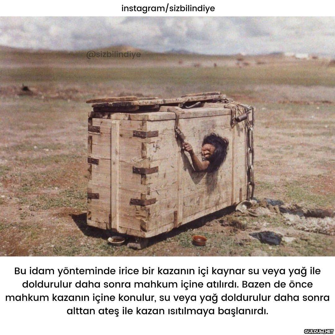 En vahşisi hangisi sizce ?...