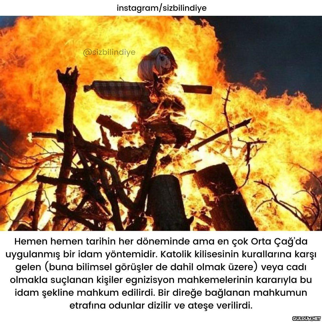 En vahşisi hangisi sizce ?...