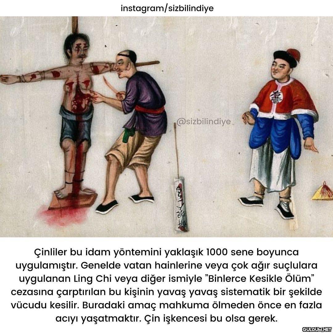 En vahşisi hangisi sizce ?...