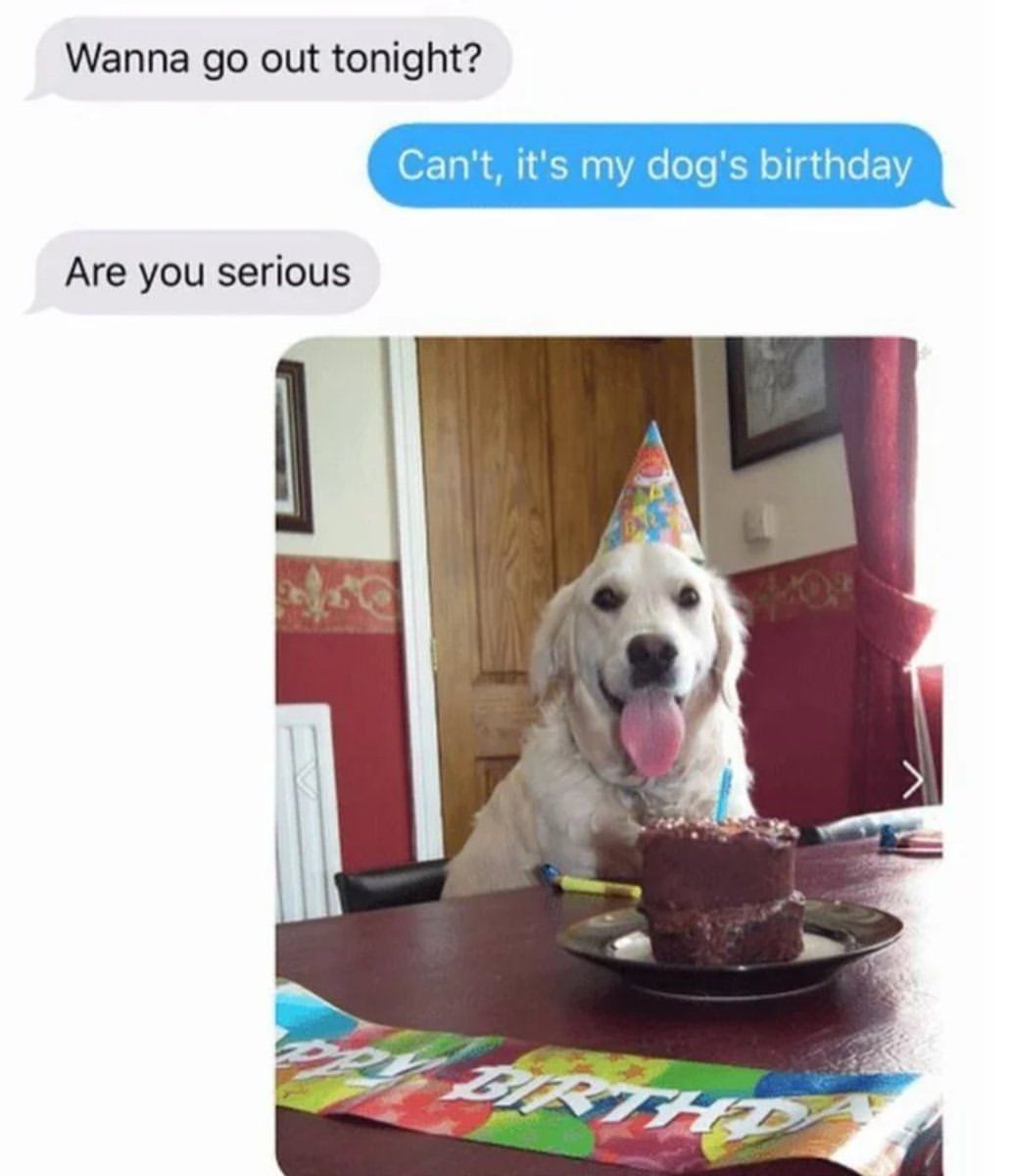 Priorities  - @barked...