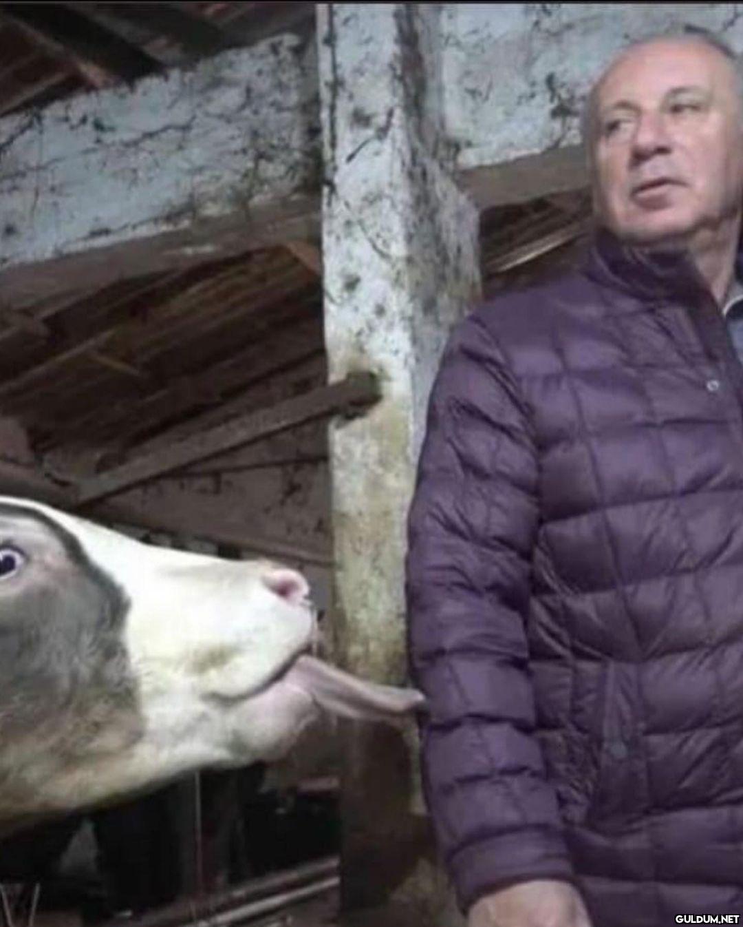 anlamsız fotoğraflar 883  ...