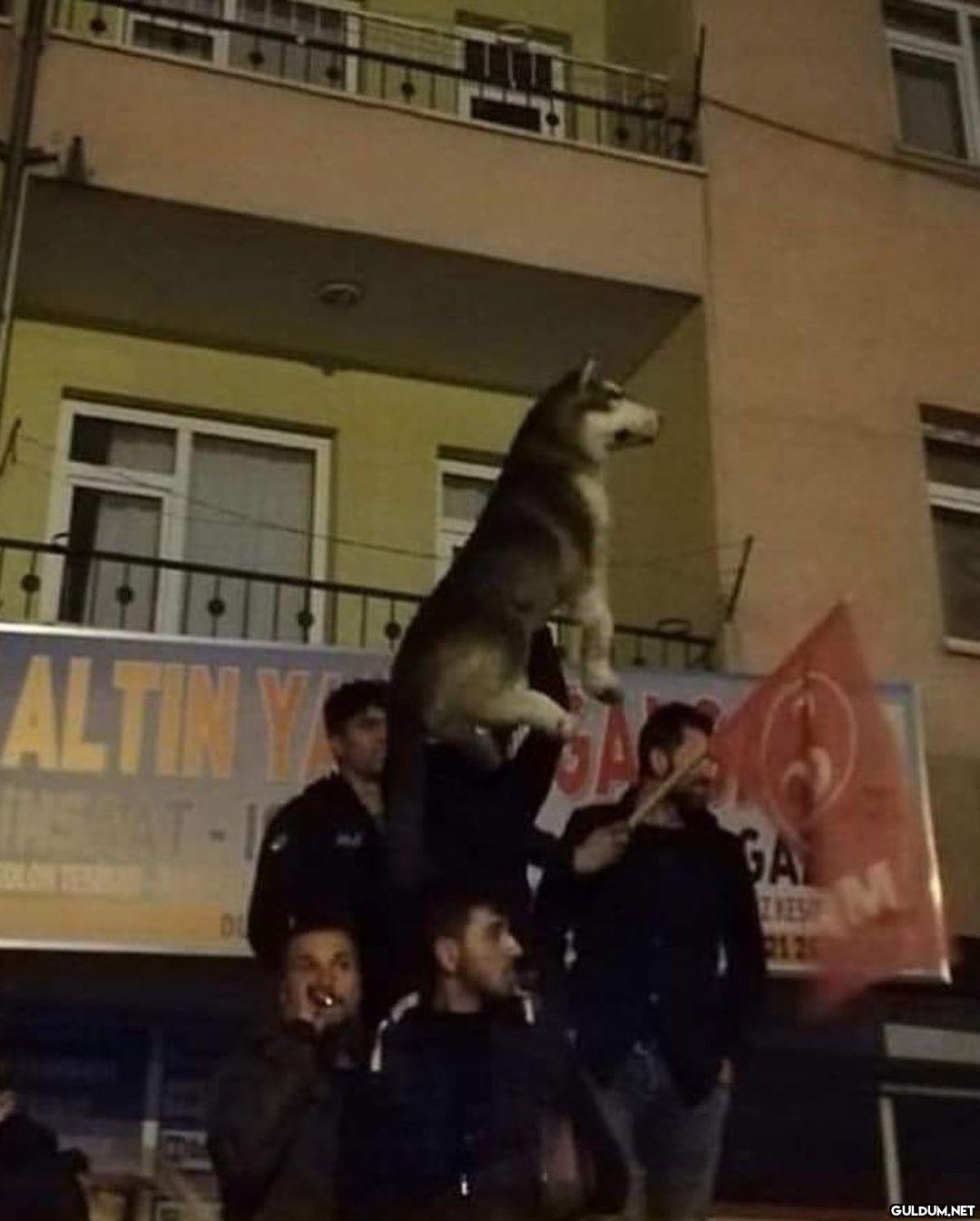 anlamsız 88391    3000 BAY...