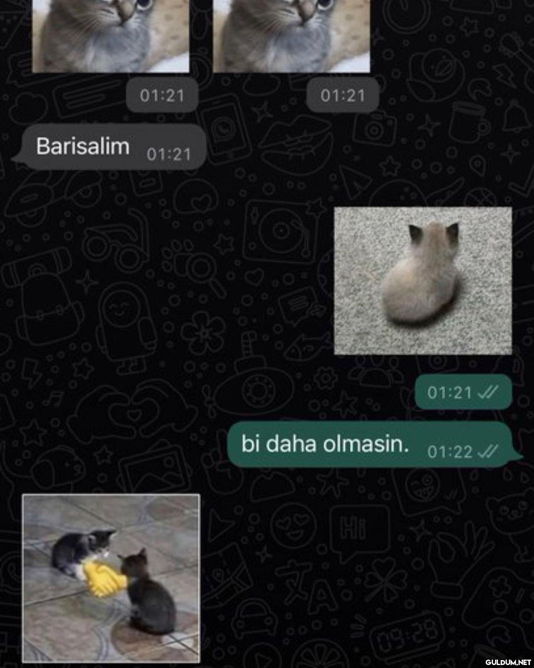 kavgaya bak benim ev...