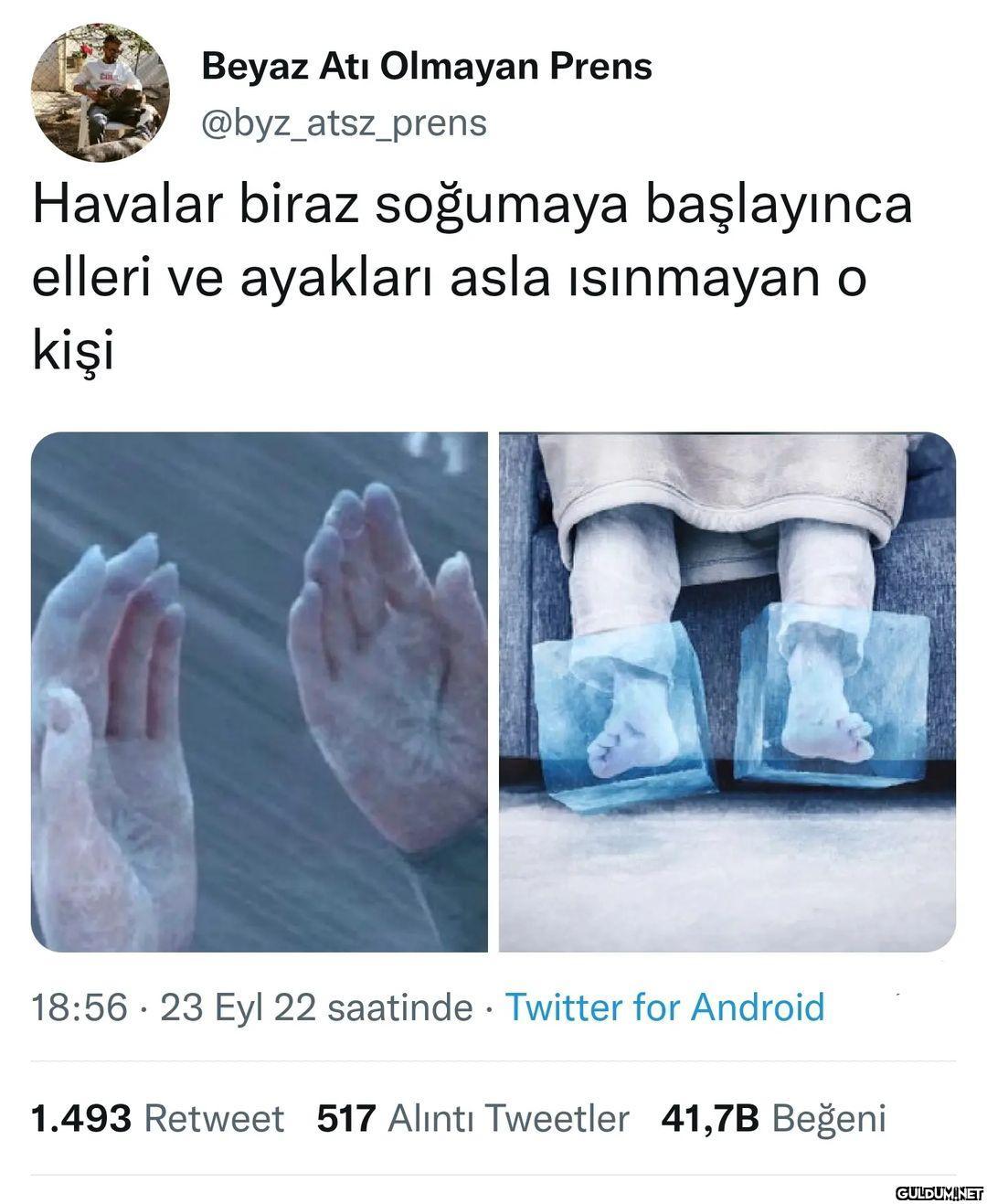 Beyaz Atı Olmayan Prens...