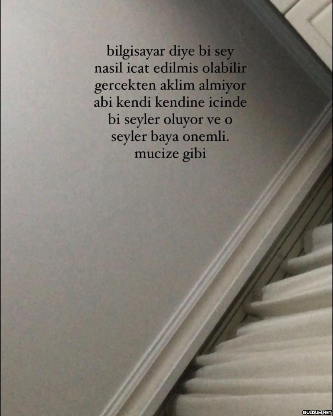 ktmdösödçwöxçöwçxmwlxkskdks...