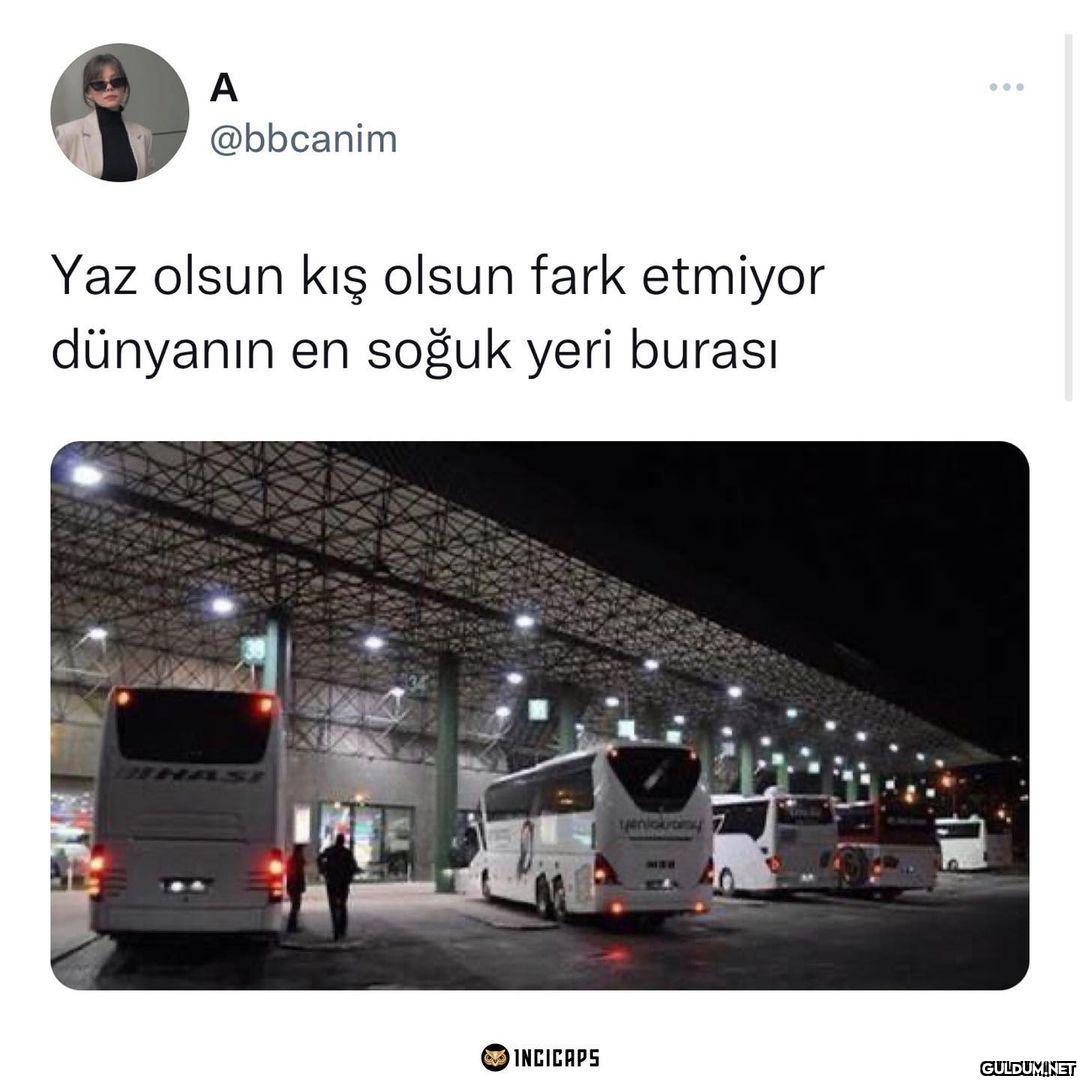 vedalar hep soğuk olur...