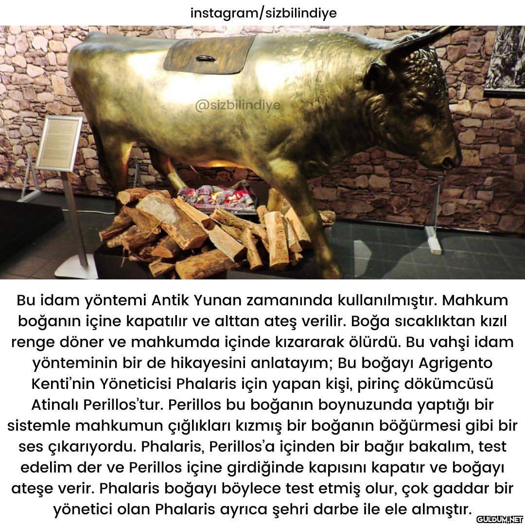 En vahşisi hangisi sizce ?...