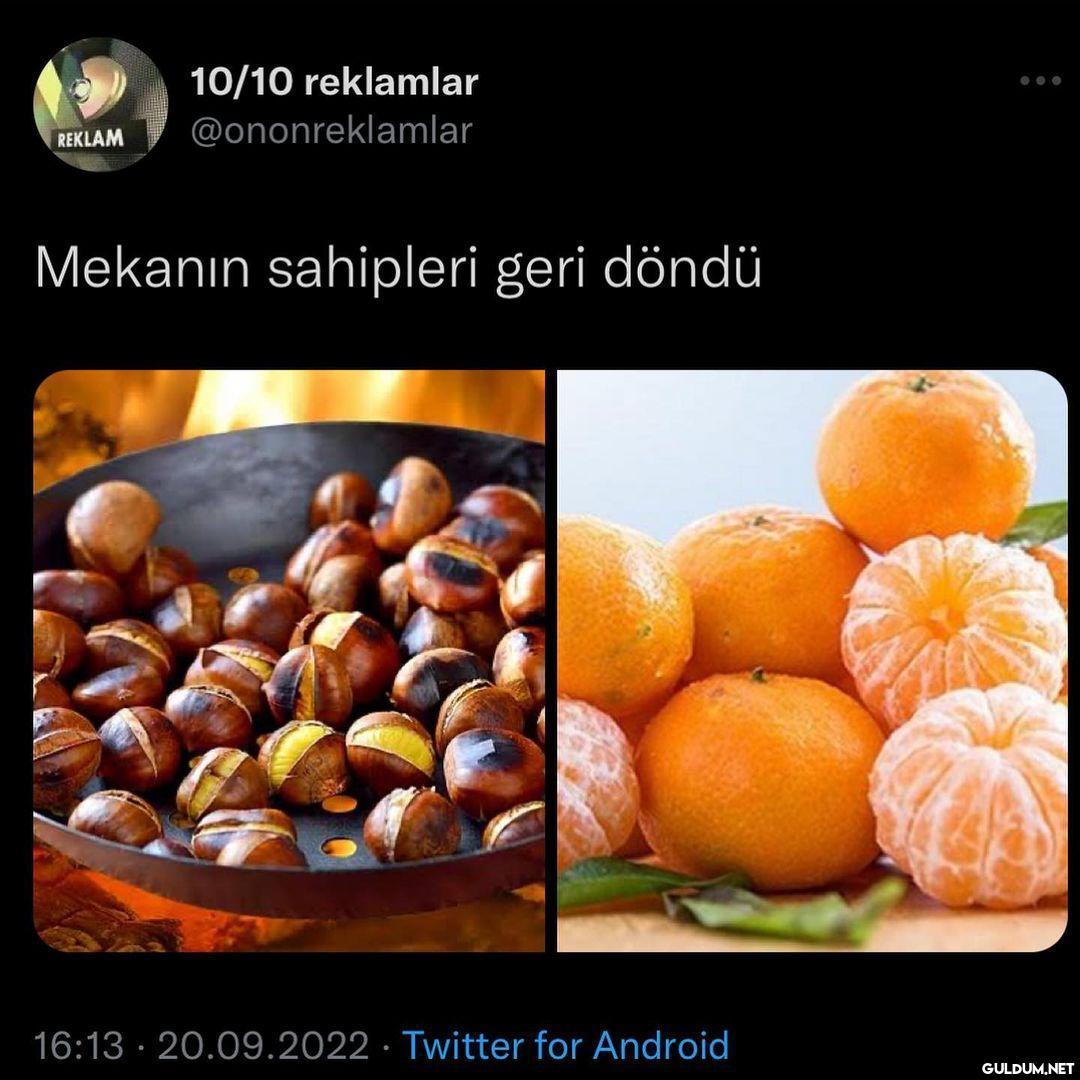 canım cekti        10/10...