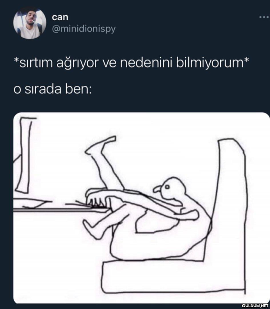 can @minidionispy *sırtım...