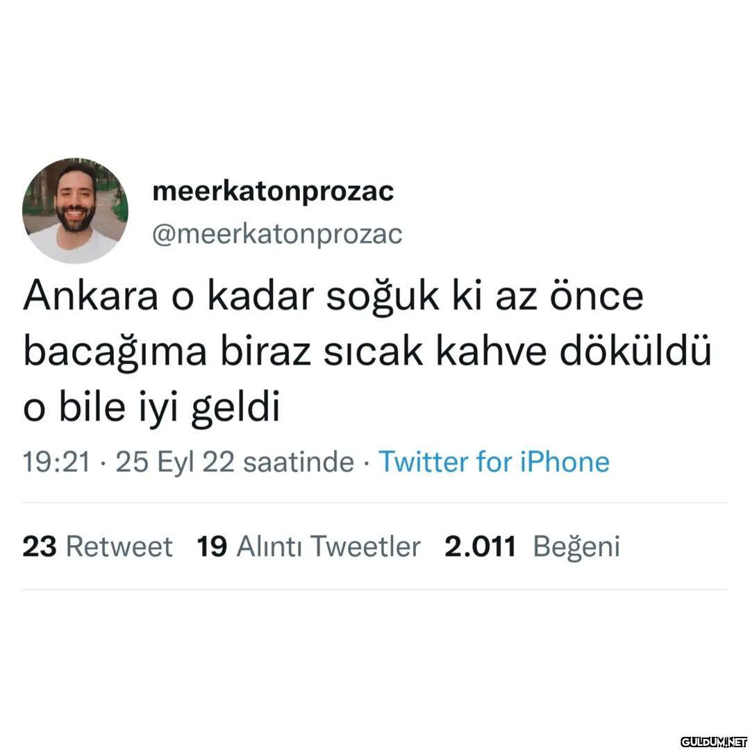 meerkatonprozac...