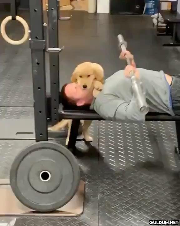 10/10 10/10 videolar...