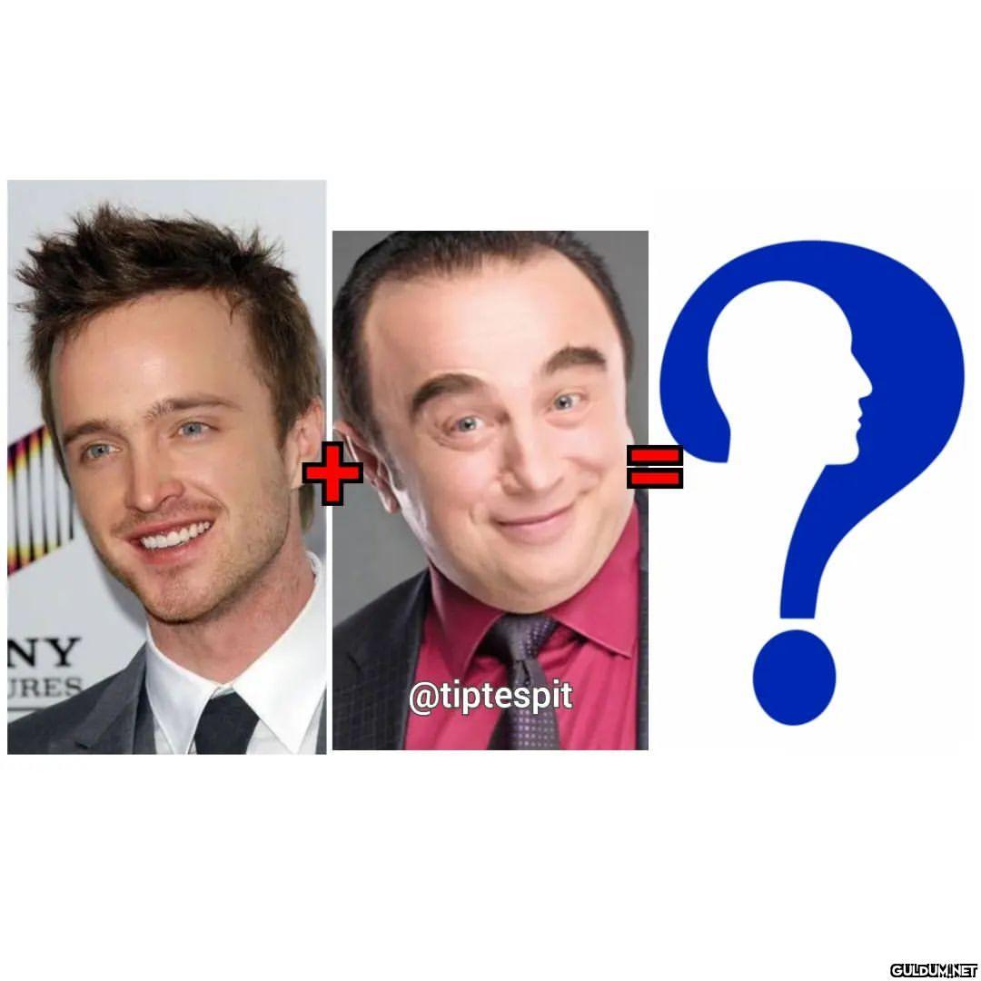 Aaron Paul (Jesse Pinkman)...