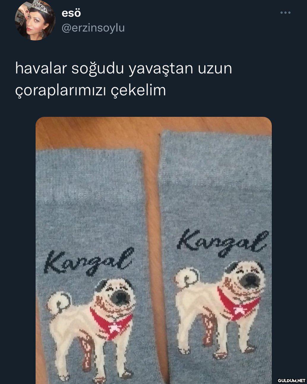 esö @erzinsoylu havalar...