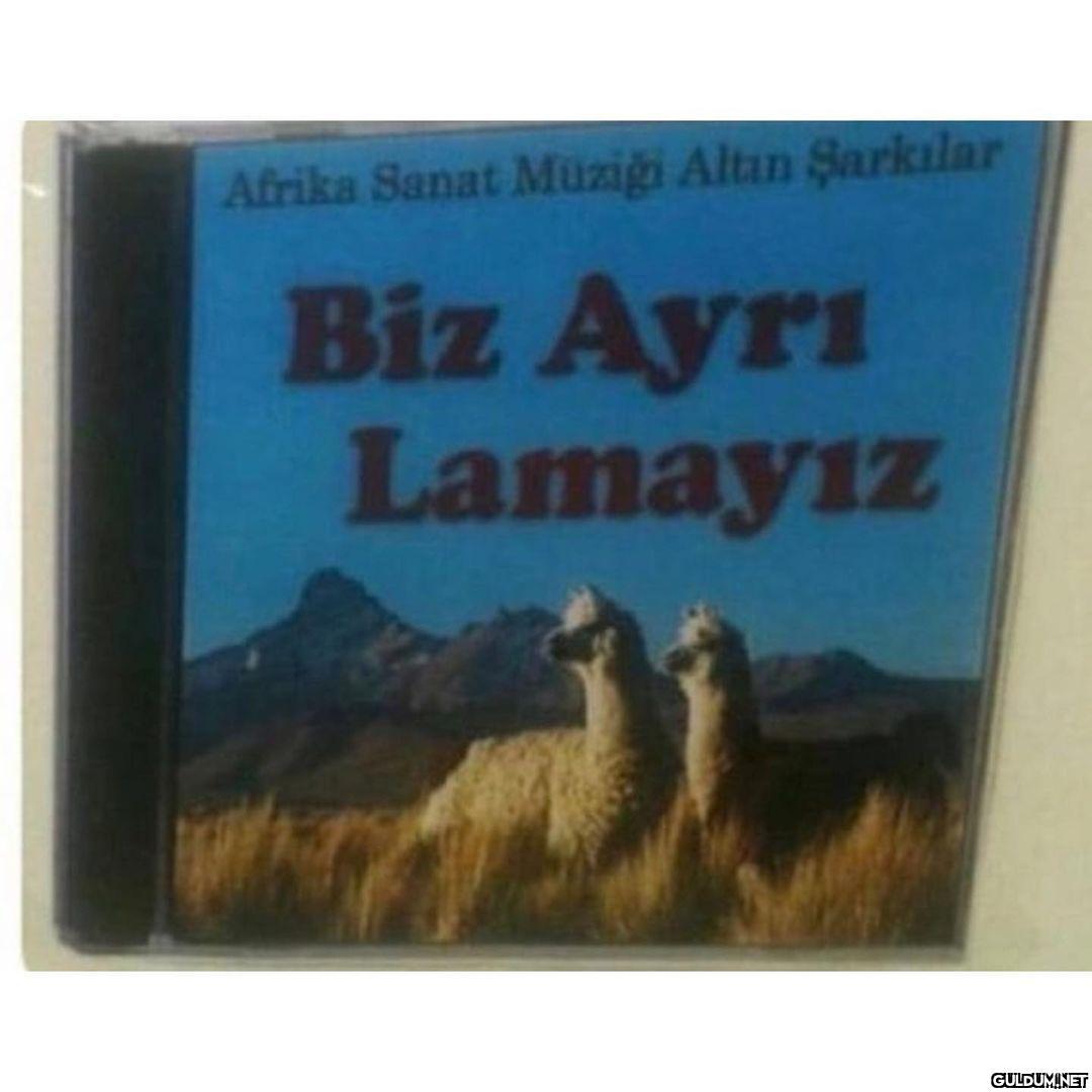 Metin, çeşitli kelime...