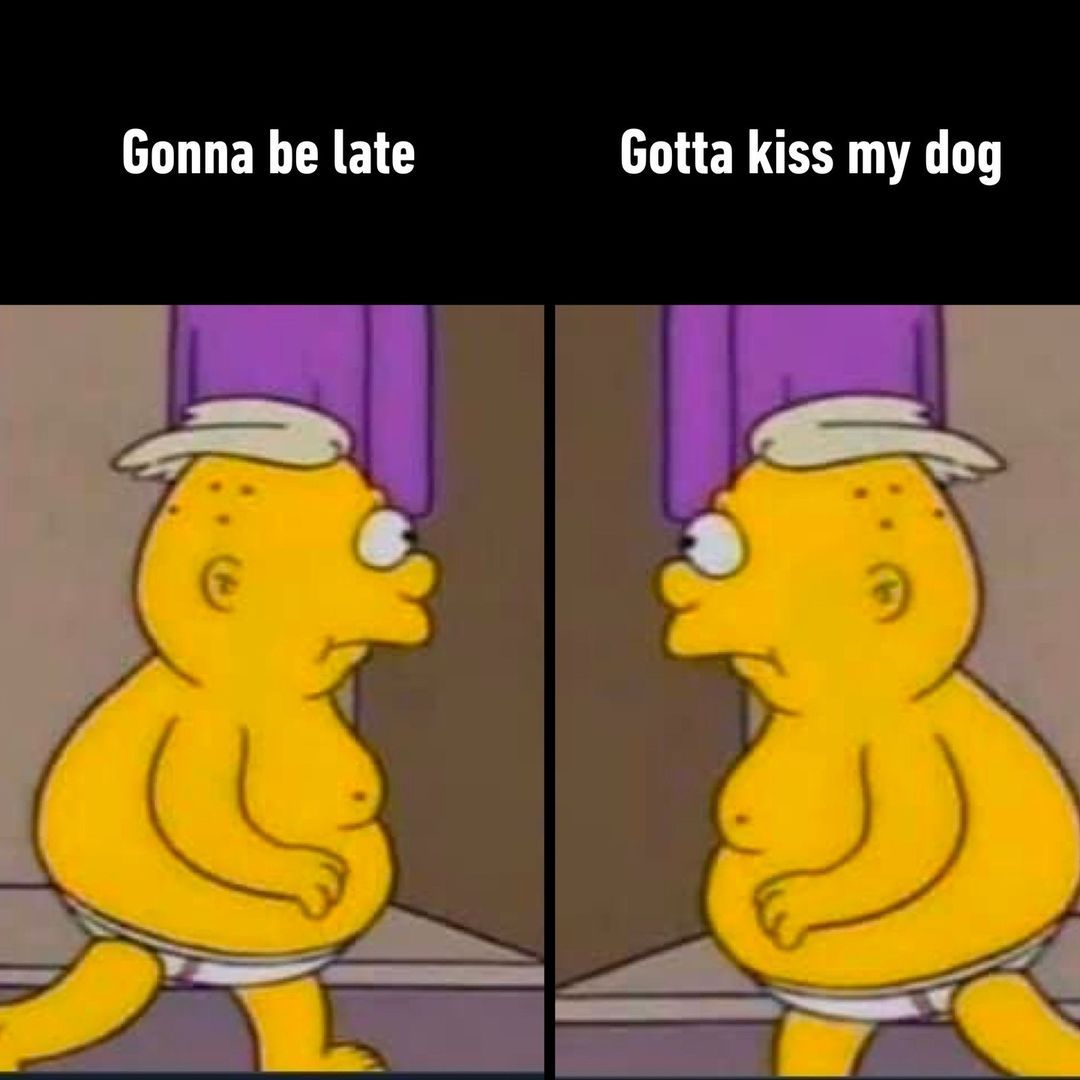 very impawtant  - #dogs...